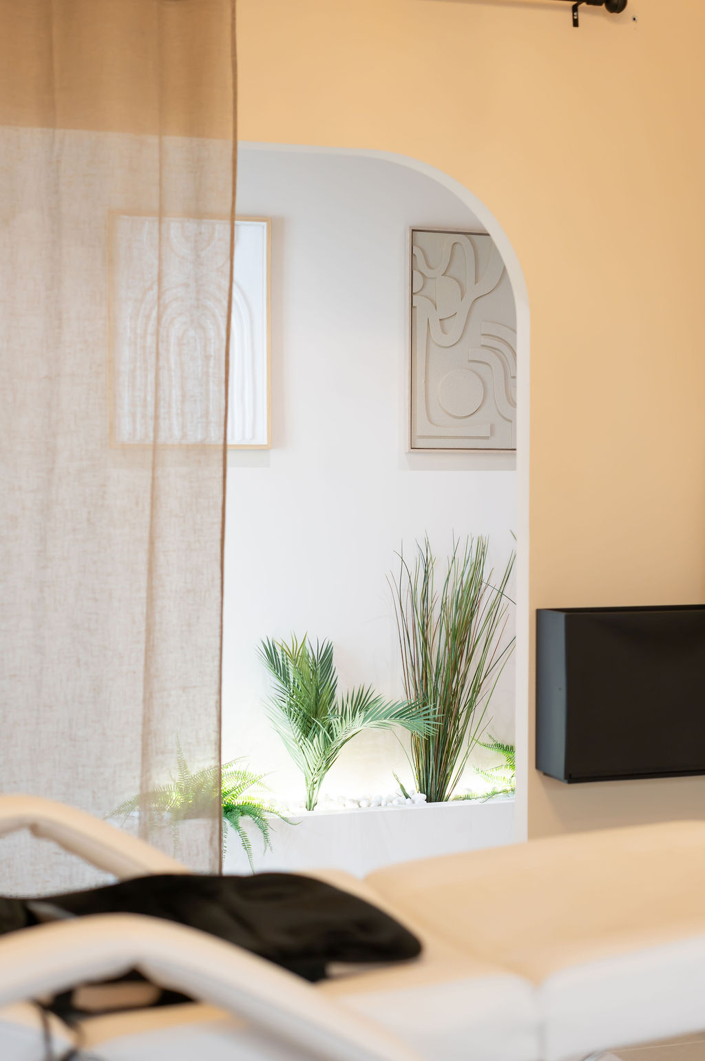 Couloir avec plantes et lumière naturelle – BAASH Aesthetic